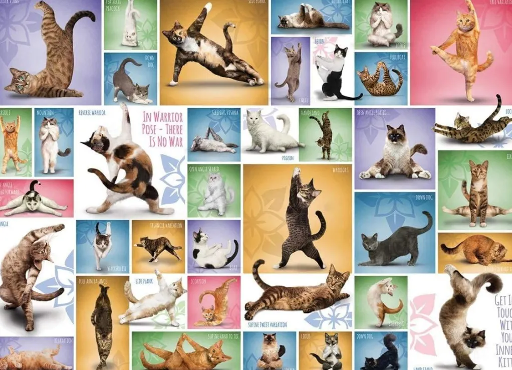 Eurographics 1000 Pieces* - Yoga Cats - 1000 Piece Jigsaw Puzzle