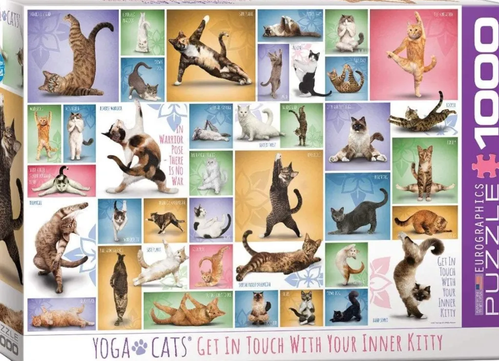 Eurographics 1000 Pieces* - Yoga Cats - 1000 Piece Jigsaw Puzzle