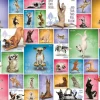 Eurographics 1000 Pieces* - Yoga Dogs - 1000 Piece Jigsaw Puzzle