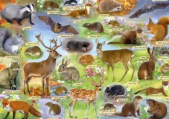 Gibsons 500 Pieces* - British Wildlife - 500 Piece Jigsaw Puzzle
