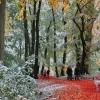 Gibsons 636 Pieces* - Snow In Autumn - 636 Piece Jigsaw Puzzle
