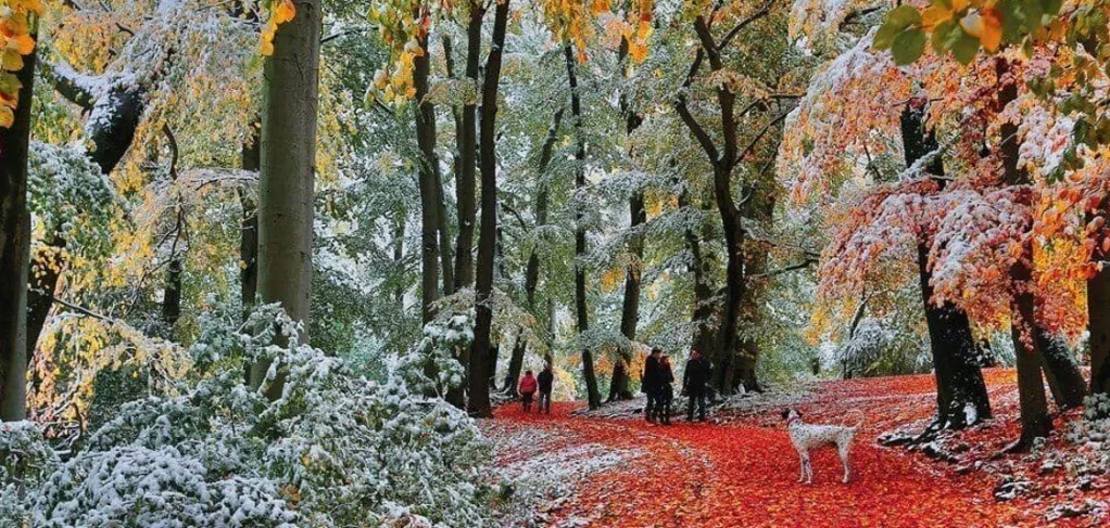 Gibsons 636 Pieces* - Snow In Autumn - 636 Piece Jigsaw Puzzle