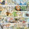 Gibsons 1000 Pieces* - Sun Bears & Sloths - 1000 Piece Jigsaw Puzzle