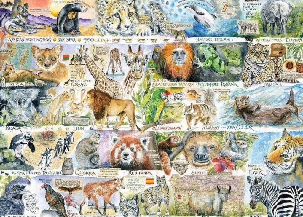 Gibsons 1000 Pieces* - Sun Bears & Sloths - 1000 Piece Jigsaw Puzzle