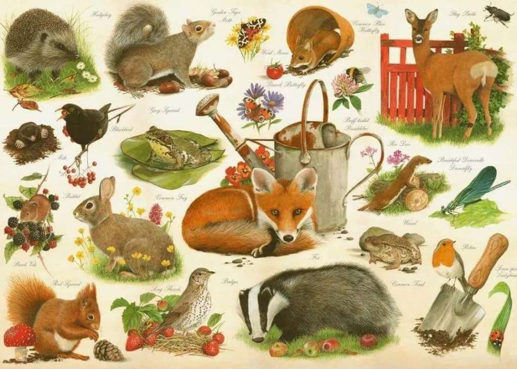 House of Puzzles 1000 Pieces* - Are You In My Garden? - 1000 Piece Jigsaw Puzzle