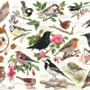 House of Puzzles 1000 Pieces* - Birds In My Garden - 1000 Piece Jigsaw Puzzle