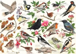 House of Puzzles 1000 Pieces* - Birds In My Garden - 1000 Piece Jigsaw Puzzle