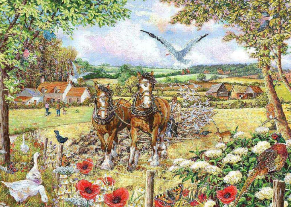 House of Puzzles Extra Large Pieces* - Bonnie & Clyde - 250Xl Piece Jigsaw Puzzle