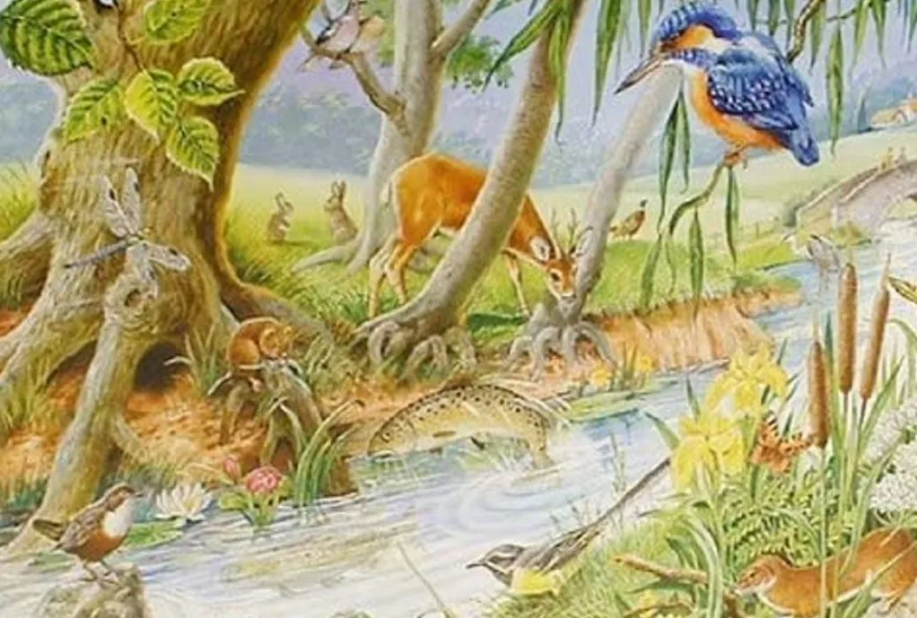 House of Puzzles Extra Large Pieces* - By The Riverbank - 250Xl Piece Jigsaw Puzzle