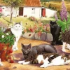 House of Puzzles Extra Large Pieces* - Cool Cats - 500Xl Piece Jigsaw Puzzle
