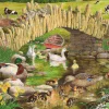 House of Puzzles Extra Large Pieces* - Duck, Duck, Goose - 250Xl Piece Jigsaw Puzzle