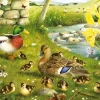 House of Puzzles Extra Large Pieces* - Ducks To Water - 500Xl Piece Jigsaw Puzzle