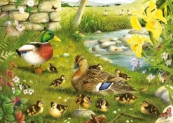 House of Puzzles Extra Large Pieces* - Ducks To Water - 500Xl Piece Jigsaw Puzzle