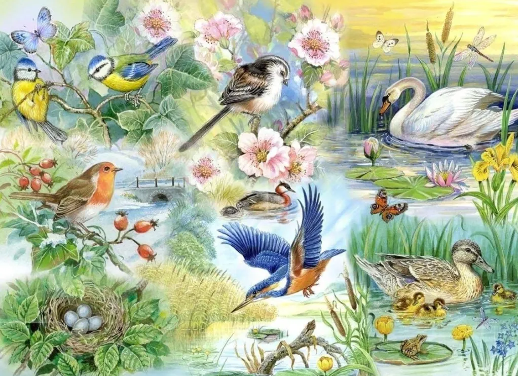 House of Puzzles Extra Large Pieces* - Feathered Friends - 250Xl Piece Jigsaw Puzzle
