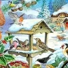 House of Puzzles Extra Large Pieces* - Feed The Birds - 250Xl Piece Jigsaw Puzzle