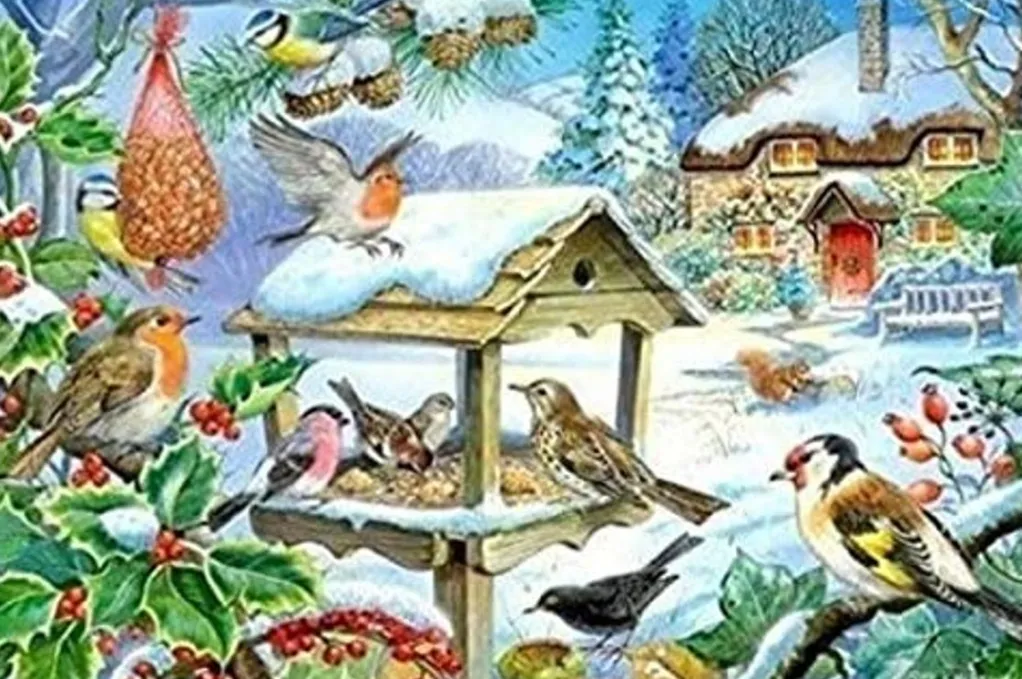 House of Puzzles Extra Large Pieces* - Feed The Birds - 250Xl Piece Jigsaw Puzzle
