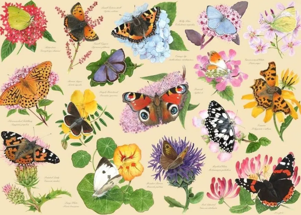 House of Puzzles 1000 Pieces* - Garden Butterflies - 1000 Piece Jigsaw Puzzle