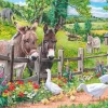 House of Puzzles Extra Large Pieces* - Jack & Jenny - 250Xl Piece Jigsaw Puzzle