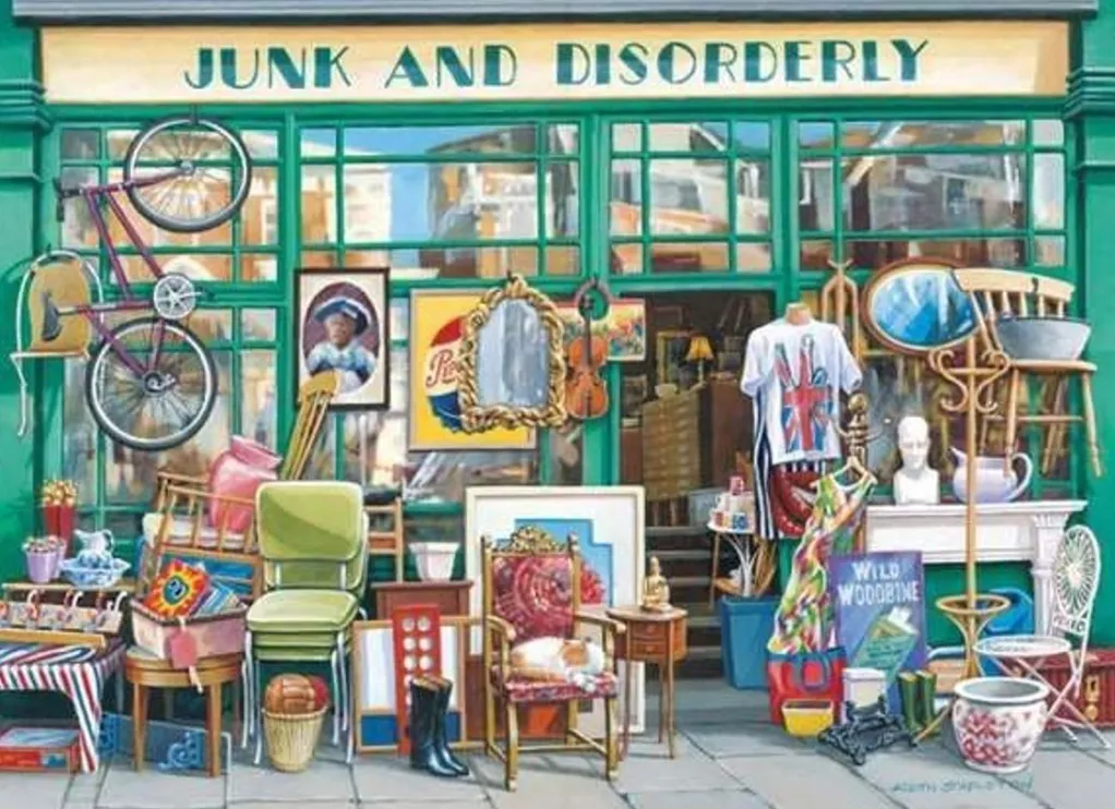 House of Puzzles Extra Large Pieces* - Junk & Disorderly - 250Xl Piece Jigsaw Puzzle