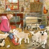 House of Puzzles Extra Large Pieces* - Mary'S Little Lambs - 500Xl Piece Jigsaw Puzzle