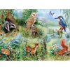 House of Puzzles Extra Large Pieces* - Nature Study - 250Xl Piece Jigsaw Puzzle