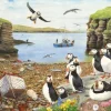 House of Puzzles Extra Large Pieces* - Puffin Parade - 500Xl Piece Jigsaw Puzzle