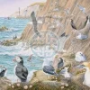 House of Puzzles 1000 Pieces* - Sea Breeze - 1000 Piece Jigsaw Puzzle