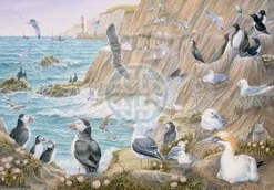 House of Puzzles 1000 Pieces* - Sea Breeze - 1000 Piece Jigsaw Puzzle
