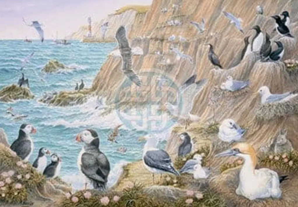 House of Puzzles 1000 Pieces* - Sea Breeze - 1000 Piece Jigsaw Puzzle