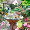 House of Puzzles 500 Pieces* - Summer Birds - 500 Piece Jigsaw Puzzle