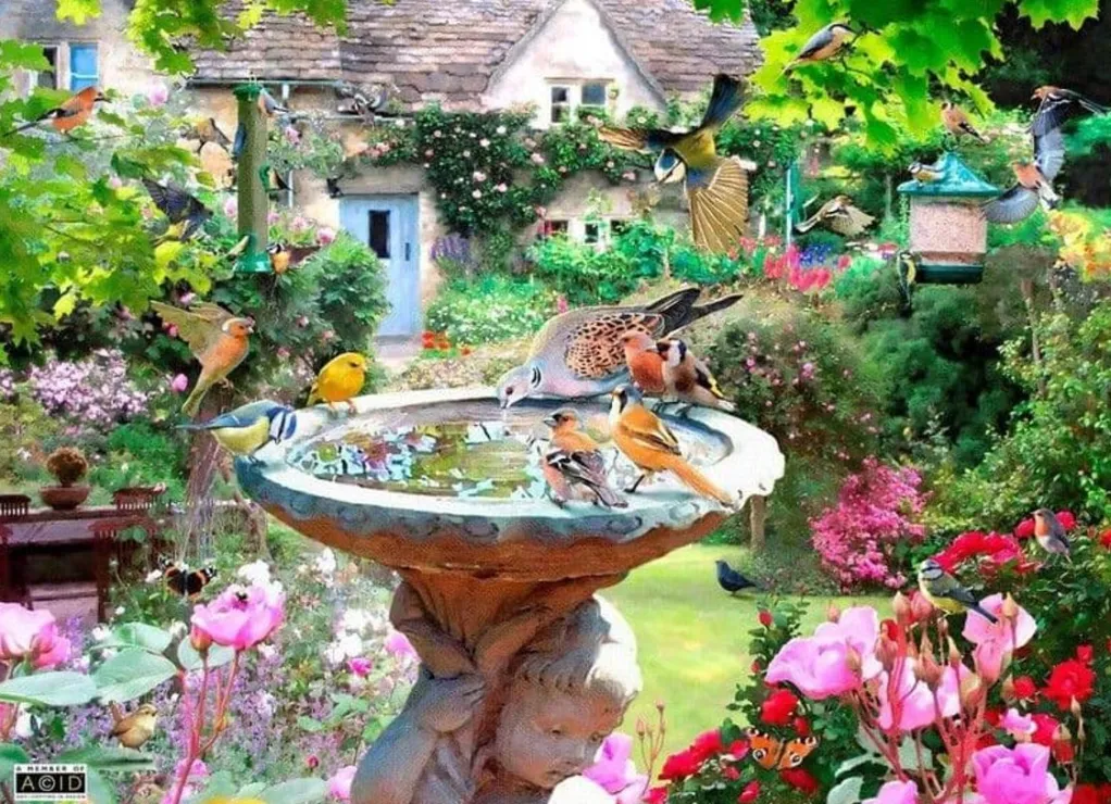 House of Puzzles 500 Pieces* - Summer Birds - 500 Piece Jigsaw Puzzle