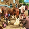 House of Puzzles Extra Large Pieces* - Time For New Shoes - 500Xl Piece Jigsaw Puzzle