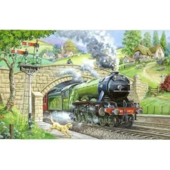 House of Puzzles Extra Large Pieces* - Train Spotting - 250Xl Piece Jigsaw Puzzle