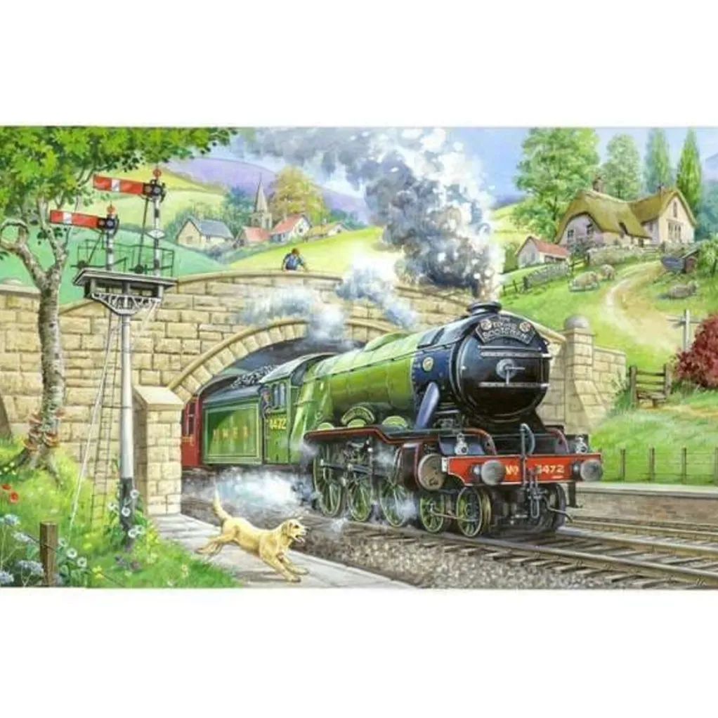 House of Puzzles Extra Large Pieces* - Train Spotting - 250Xl Piece Jigsaw Puzzle