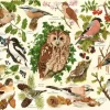 House of Puzzles Extra Large Pieces* - Woodland Birds - 500Xl Piece Jigsaw Puzzle