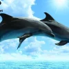 Kidicraft 300 Pieces & Under* - Dolphin- Animal Planet 150 Piece Jigsaw Puzzle