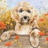 Otter House 1000 Pieces* - Cockapoo View - 1000 Piece Jigsaw Puzzle