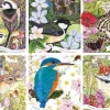 Otter House 1000 Pieces* - Garden Birds - 1000 Piece Jigsaw Puzzle