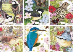 Otter House 1000 Pieces* - Garden Birds - 1000 Piece Jigsaw Puzzle