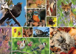 Otter House 1000 Pieces* - Great British Wildlife - 1000 Piece Jigsaw Puzzle