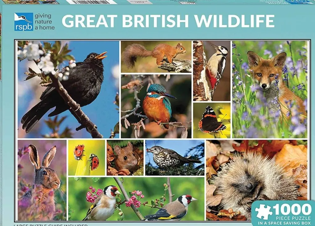 Otter House 1000 Pieces* - Great British Wildlife - 1000 Piece Jigsaw Puzzle