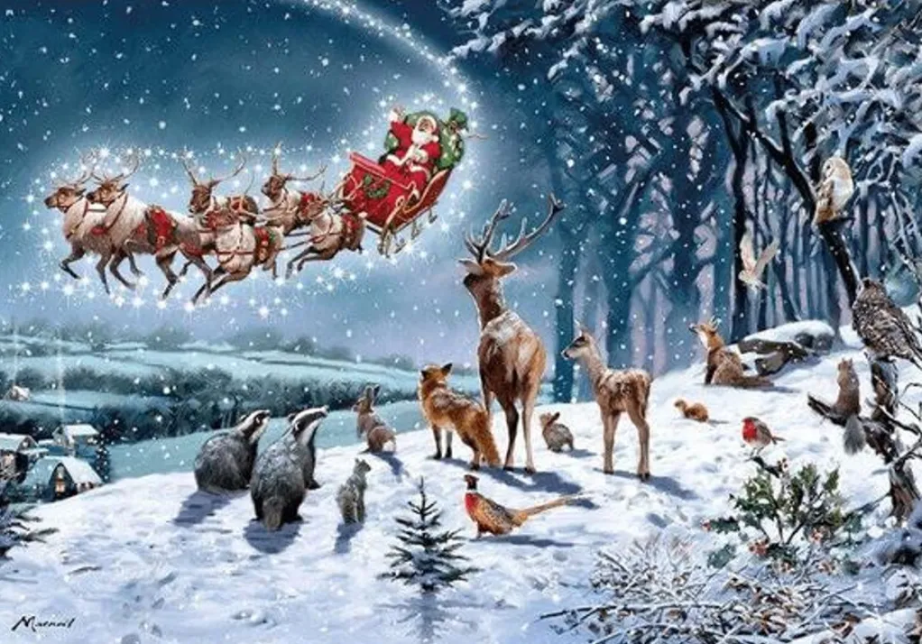 Otter House 500 Pieces* - Magical Christmas - 500 Piece Jigsaw Puzzle