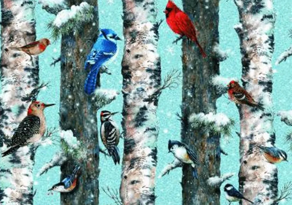 Piatnik 1000 Pieces* - Christmas Birds - 1000 Piece Jigsaw Puzzle