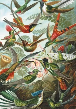 Piatnik 1000 Pieces* - Humming Birds - 1000 Piece Jigsaw Puzzle