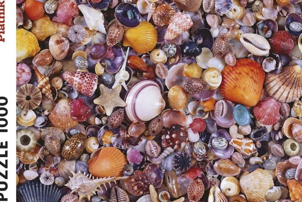 Piatnik 1000 Pieces* - Seashells - 1000 Piece Jigsaw Puzzle