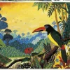Piatnik 1000 Pieces* - Toucan - 1000 Piece Jigsaw Puzzle