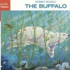 Pomegranate 1000 Pieces* - Robert Bissell: The Buffalo 1000 Piece