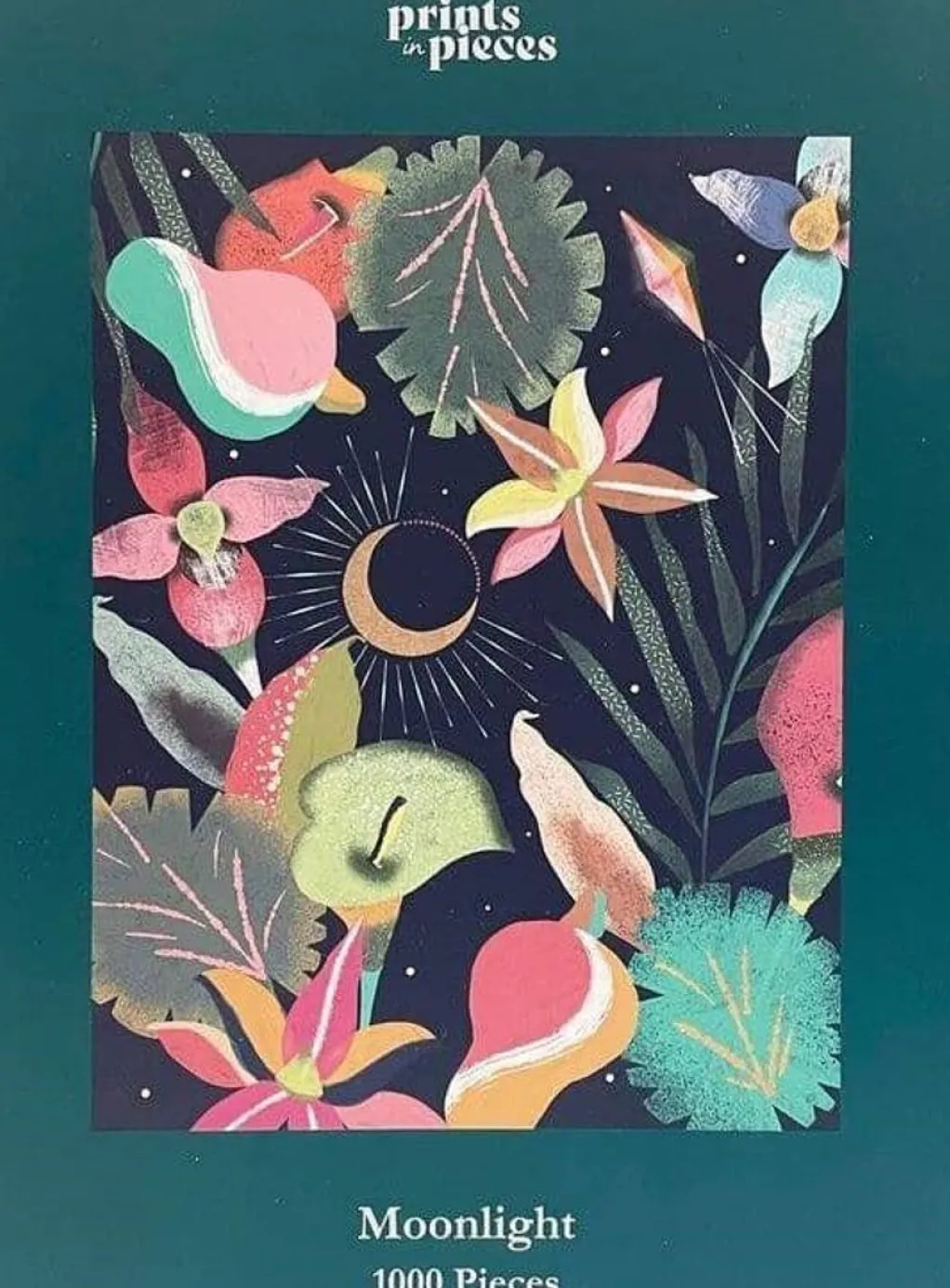 Prints in Pieces 1000 Pieces* - Moonlight - 1000 Piece Jigsaw Puzzle