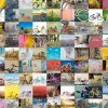 Ravensburger 1500 Pieces* - 99 Bicycles - 1500 Piece Jigsaw Puzzle
