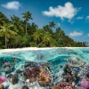 Ravensburger 2000 Pieces* - A Dive In The Maldives - 2000 Piece Jigsaw Puzzle